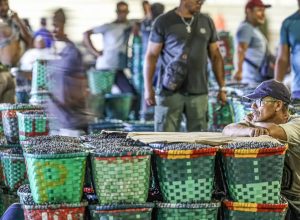justica-do-trabalho-recomenda-adaptacao-para-enfrentar-el-nino