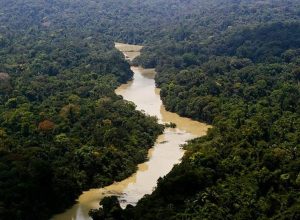 viva-maria:-uma-mulher-na-linha-de-frente-pela-amazonia