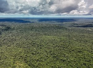 fazenda-autoriza-credito-de-us$-1-bilhao-do-bid-para-eco-invest-brasil